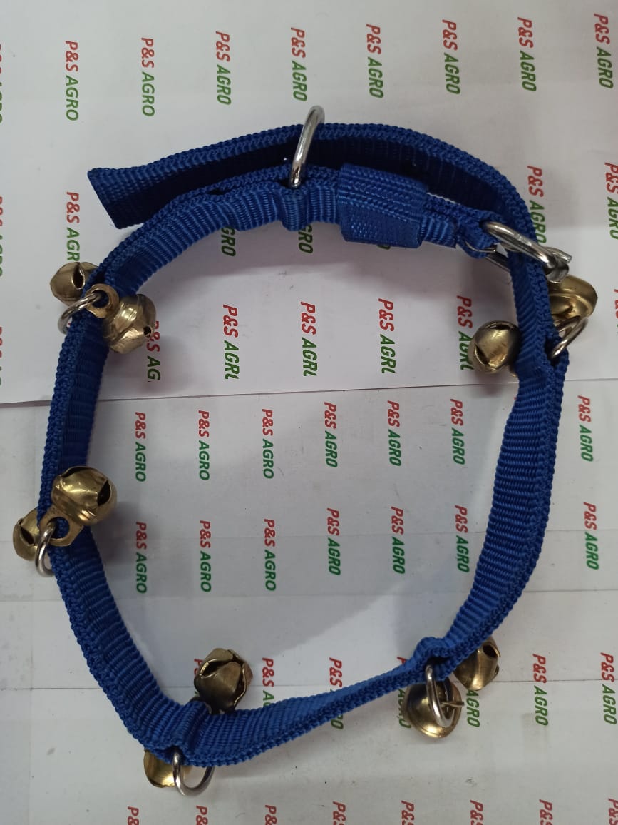 Ghunghro Belt with Courier